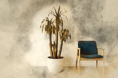 Verdorrte Yucca-Palme in einer Arztpraxis