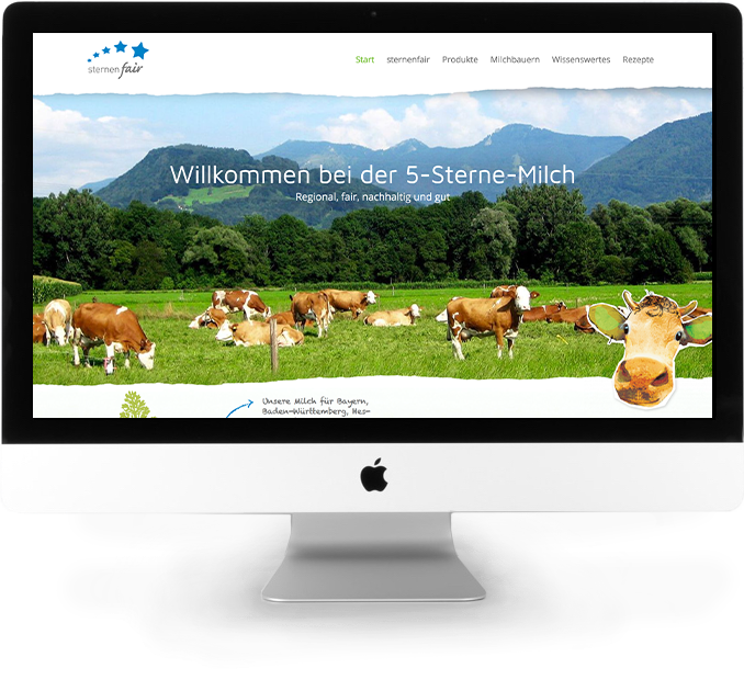 Screenshot der Referenz sternenfair-Website